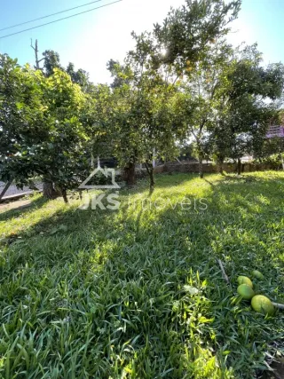 Casa com 3 dormitórios, foto 11