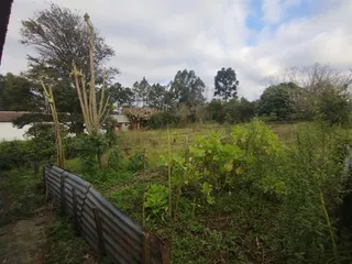Área rural com 4 dormitórios, foto 18
