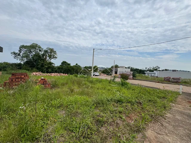 Terreno, foto 2