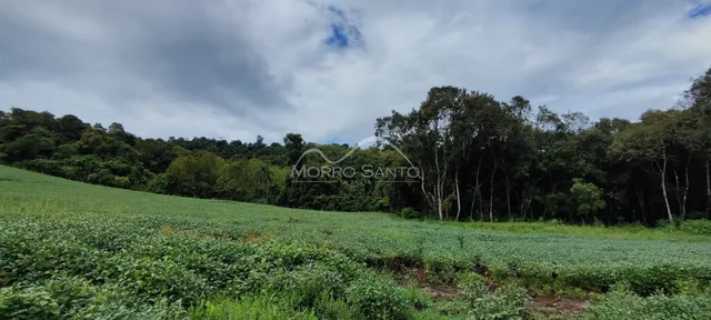 Paisagem de campo verde com vegetação densa ao fundo.