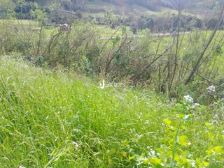 Área rural, foto 17