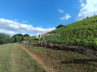 Área rural com 2 dormitórios, foto 5