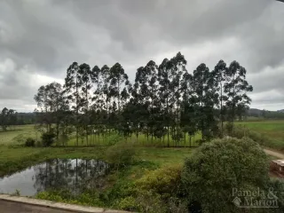 Área rural com 3 dormitórios, foto 2