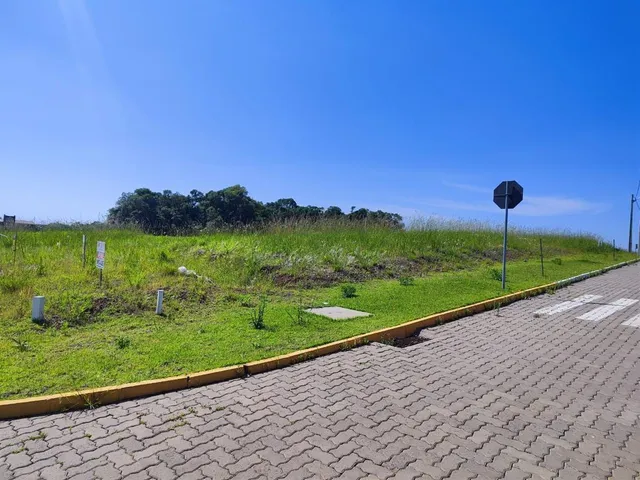 Terreno, foto 4