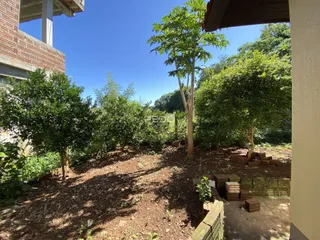 Vista externa do terreno com vegetação e solo seco.