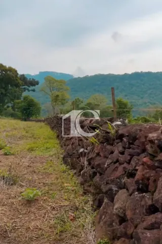 Área rural com 3 dormitórios, foto 2