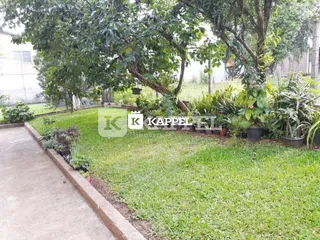 Vista externa do jardim com grama e árvores em uma propriedade em Lajeado.