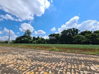 Terreno, foto 11