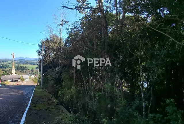 Terreno, foto 2