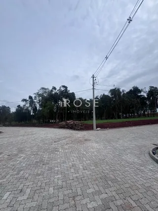 Terreno, foto 2