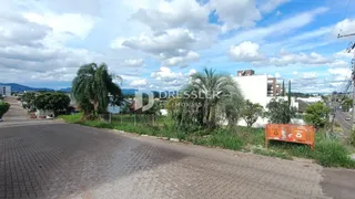 Vista da rua com vegetação ao lado de uma propriedade em Lajeado.