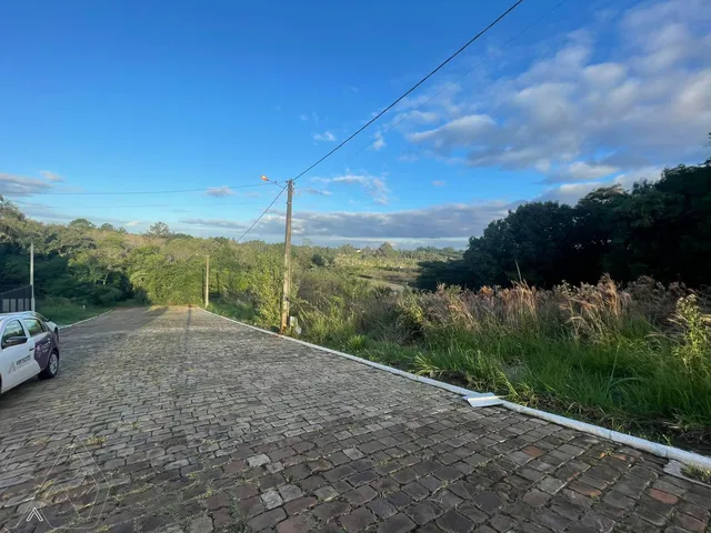 Terreno, foto 2