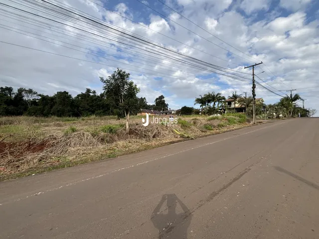 Vista da rua em Lajeado, Brasil, com vegetação e casas ao fundo.