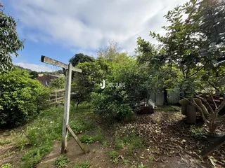 Casa com 4 dormitórios, foto 6