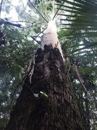 Imóvel, foto 7