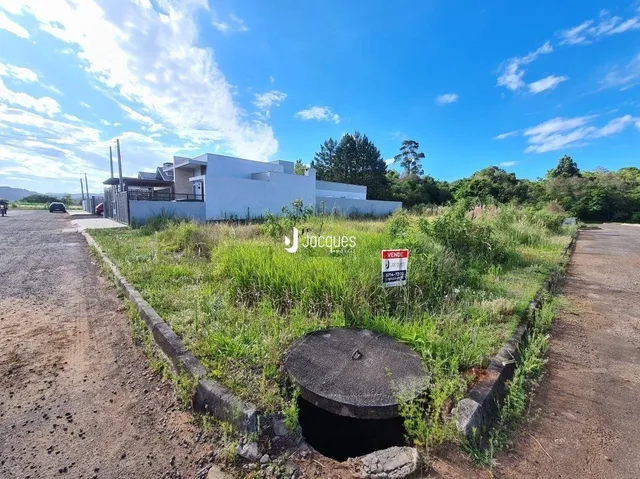 Vista externa de um terreno com vegetação e uma estrada de terra.