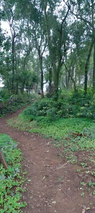 Terreno, foto 3