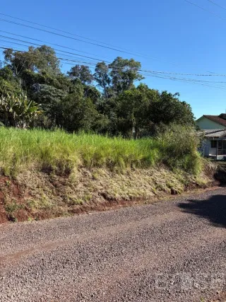 Terreno, foto 3