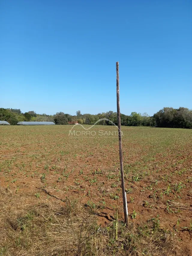 Área rural, foto 4