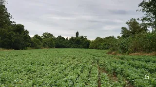 Terreno, foto 10