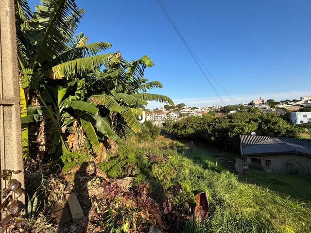 Terreno, foto 5