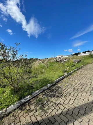 Vista externa de um terreno com vegetação e caminho de tijolos em Lajeado.