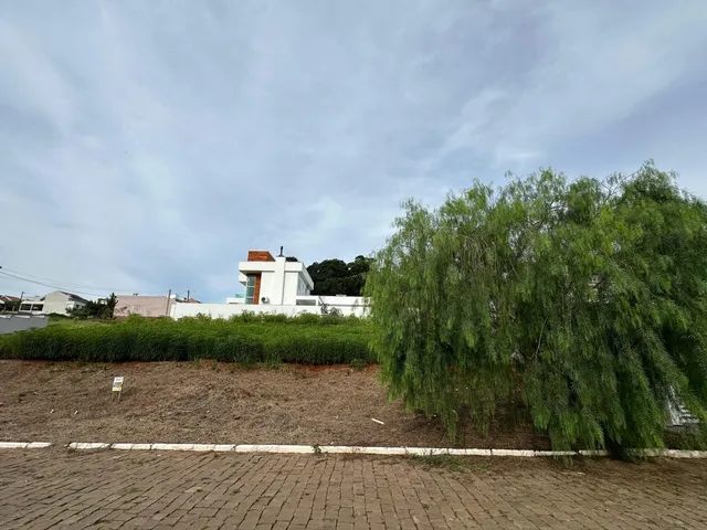 Uma vista externa mostra árvores e uma área de terra.