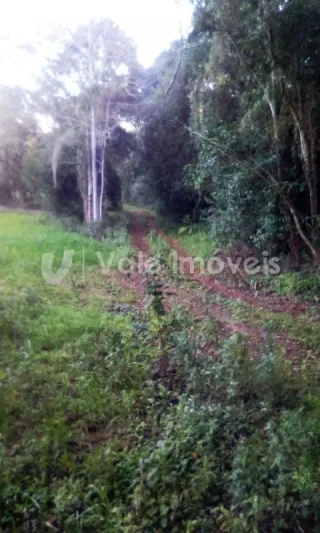 Área rural, foto 18