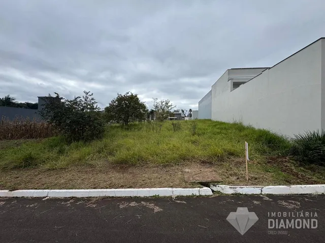 Terreno, foto 3