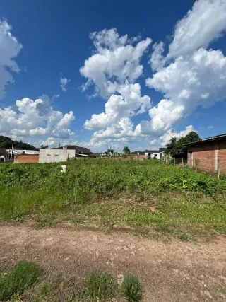 Terreno, foto 1