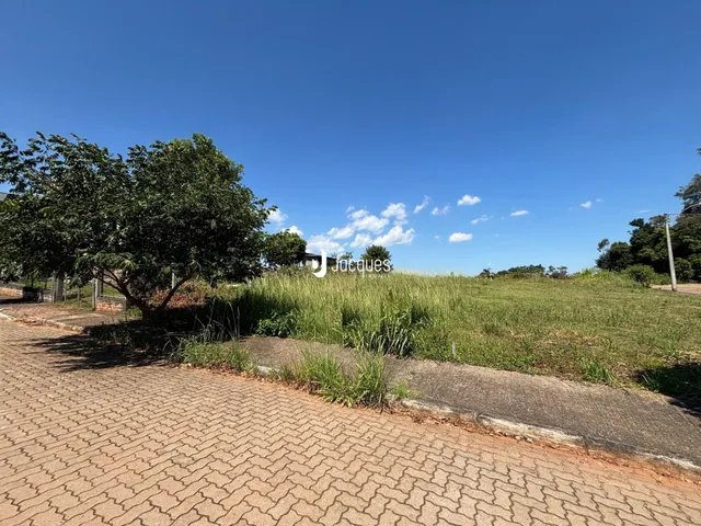 Vista da propriedade com campo gramado e estrada no primeiro plano.