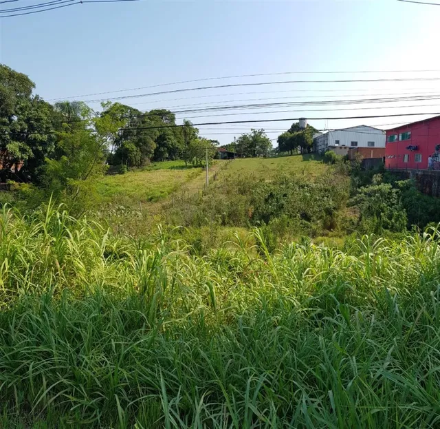 Área rural, foto 3