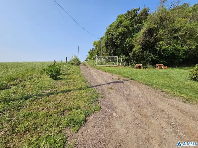 Área rural com 3 dormitórios, foto 3