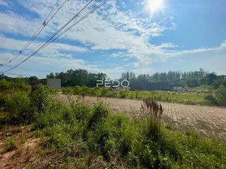 Vista externa de um terreno com vegetação densa e estrada de terra no fundo.