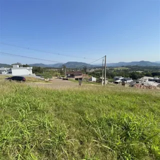 Terreno, foto 3