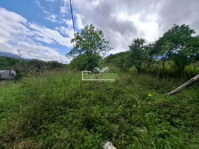 Casa com 2 dormitórios, foto 3