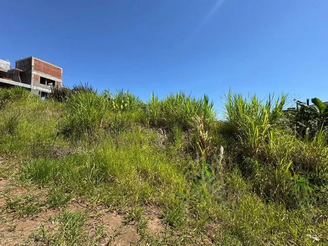 Terreno, foto 2