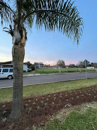Terreno, foto 3