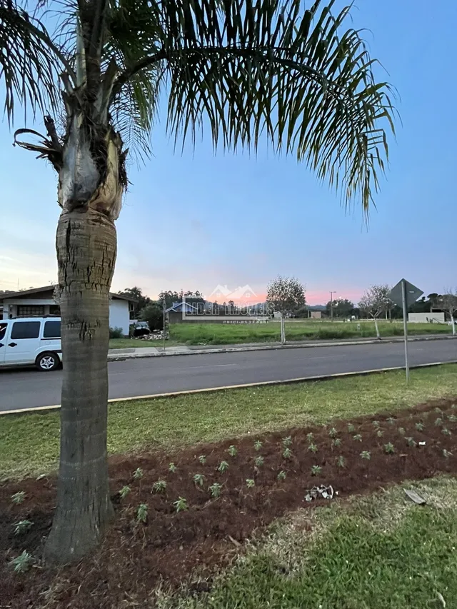 Terreno, foto 3