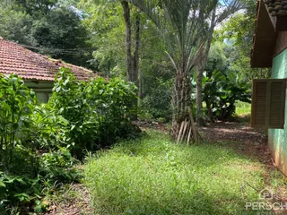 Vista externa mostrando vegetação densa e grama em um quintal.
