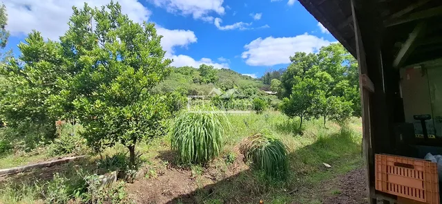 Área rural com 4 dormitórios, foto 5
