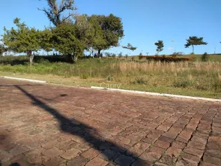 Terreno, foto 8