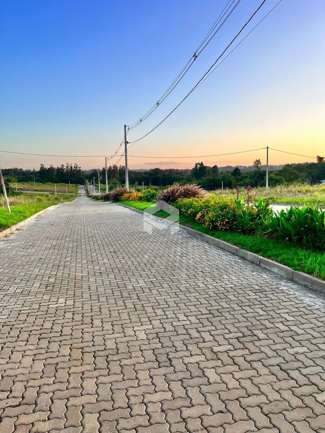 Vista da rua pavimentada em Lajeado com vegetação ao redor.