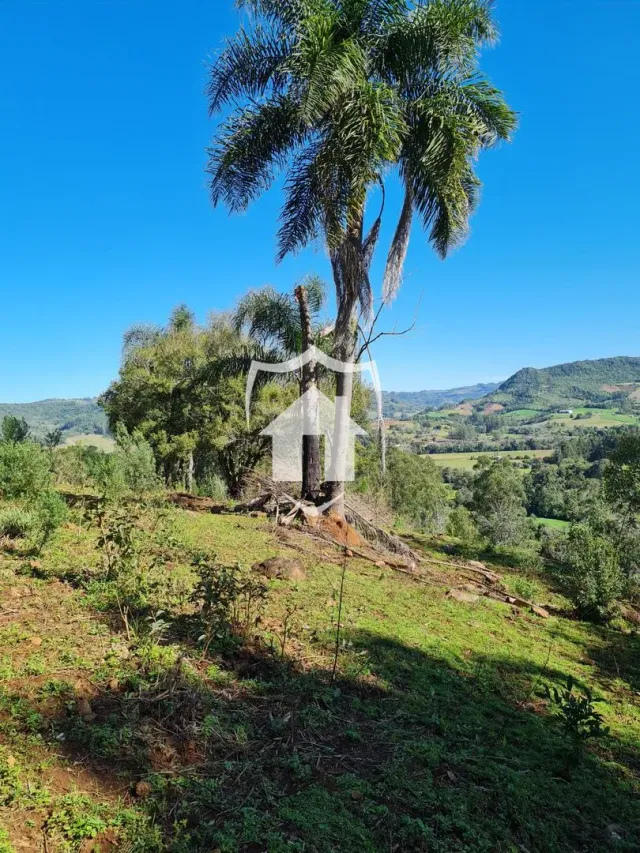 Área rural com 2 dormitórios, foto 5