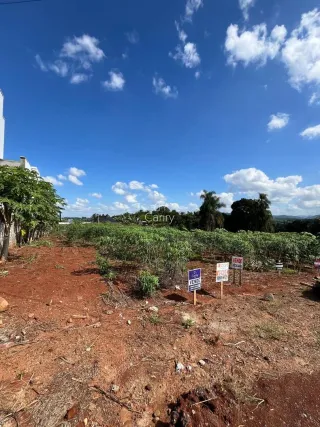 Terreno, foto 2