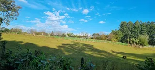 Área rural com 3 dormitórios, foto 6