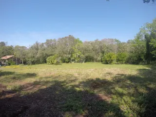 Terreno, foto 3