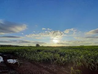 Área rural, foto 4