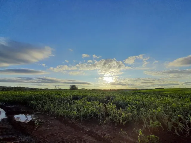 Área rural, foto 4