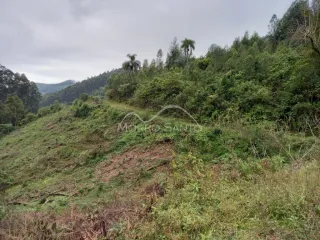 Área rural, foto 4